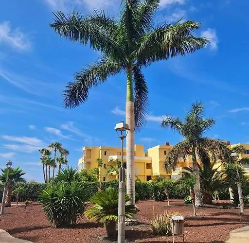 Apartment Homely In Modern Building With Pool