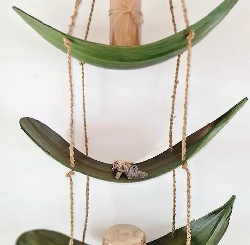 アパート Homely In Modern Building With Pool