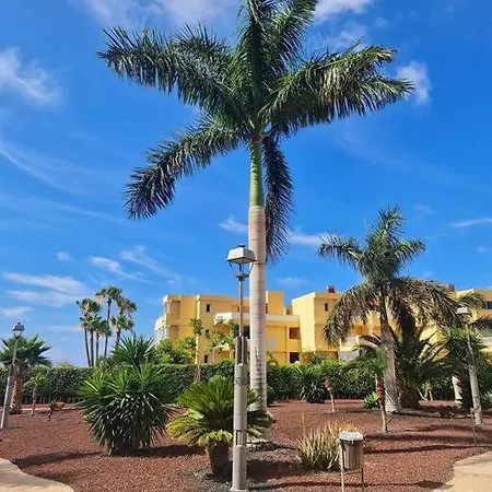 Апартаменты Homely In Modern Building With Pool