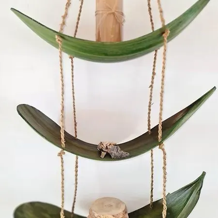 Апартаменты Homely In Modern Building With Pool