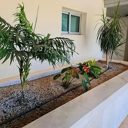 Апартаменты Homely In Modern Building With Pool Сан Мигель